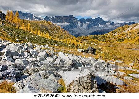 Stock Image - Macbeth Group seen from Monica Meadows, Purcell Mountains British Columbia Canada. Fotosearch