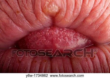 Stock Image - Macro Lips. Fotosearch