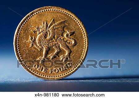 Macro shot of British pound coin View Large Photo Image Stock Image - Macro shot of British pound coin. Fotosearch