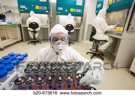 Mad cow disease and avian flu research team, Laboratory of Bio-Safety Level P3, Departamento de Producci? n y Sanidad Animal, Neiker Tecnalia, Instituto de Investigaci? n y Desarrollo Agrario, Ganadero, Forestal y del Medio Natural, Euskadi, Spain View Large Photo Image Stock Photograph - Mad cow disease and avian flu research team, Laboratory of Bio-Safety Level P3, Departamento de Producci? n y Sanidad Animal, Neiker Tecnalia, Instituto de Investigaci? n y Desarrollo Agrario, Ganadero, Forestal y del Medio Natural, Euskadi, Spain. Fotosearch
