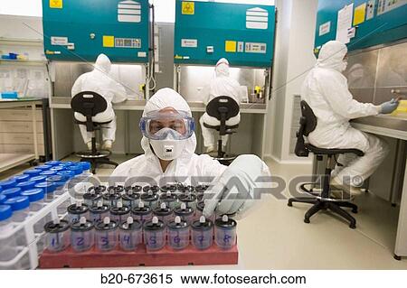 Stock Photography - Mad cow disease and avian flu research team, Laboratory of Bio-Safety Level P3, Departamento de Producci? n y Sanidad Animal, Neiker Tecnalia, Instituto de Investigaci? n y Desarrollo Agrario, Ganadero, Forestal y del Medio Natural, Euskadi, Spain. Fotosearch
