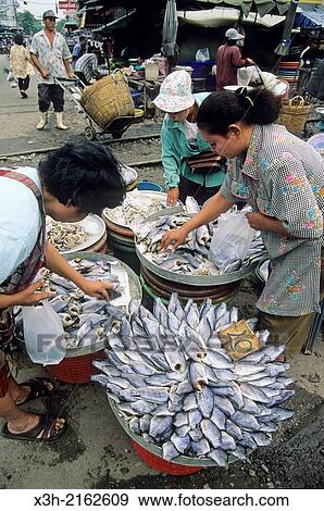 Stock Photo - Mahachai fish and seafood market, near Bangkok, Thailand, Southeast Asia.. Fotosearch