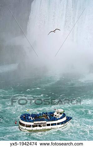 Picture - Maid of the Mist boat carrying tourists at the bottom of Niagara Falls.. Fotosearch