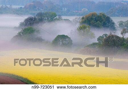 Main valley near Kulmbach, morning mist in spring, rape field and riparian meadow land, Franconia, Bavaria View Large Photo Image Stock Image - Main valley near Kulmbach, morning mist in spring, rape field and riparian meadow land, Franconia, Bavaria. Fotosearch