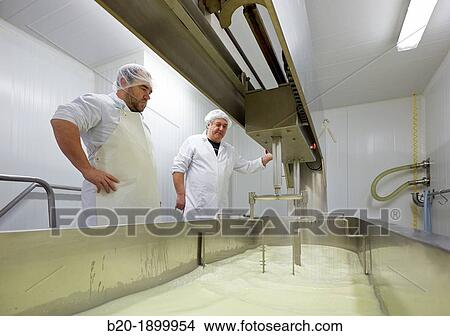 Making cheese from sheep's milk Latxa Designation of origin? Idiazabal? Cheese factory Gomiztegi Baserria, Arantzazu, Oati, Gipuzkoa, Basque Country, Spain View Large Photo Image Picture - Making cheese from sheep's milk Latxa Designation of origin? Idiazabal? Cheese factory Gomiztegi Baserria, Arantzazu, Oati, Gipuzkoa, Basque Country, Spain. Fotosearch