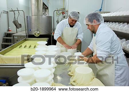 Making cheese from sheep's milk Latxa Designation of origin? Idiazabal? Cheese factory Gomiztegi Baserria, Arantzazu, Oati, Gipuzkoa, Basque Country, Spain View Large Photo Image Picture - Making cheese from sheep's milk Latxa Designation of origin? Idiazabal? Cheese factory Gomiztegi Baserria, Arantzazu, Oati, Gipuzkoa, Basque Country, Spain. Fotosearch