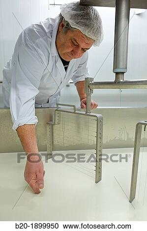 Making cheese from sheep's milk Latxa Designation of origin? Idiazabal? Cheese factory Gomiztegi Baserria, Arantzazu, Oati, Gipuzkoa, Basque Country, Spain View Large Photo Image Stock Image - Making cheese from sheep's milk Latxa Designation of origin? Idiazabal? Cheese factory Gomiztegi Baserria, Arantzazu, Oati, Gipuzkoa, Basque Country, Spain. Fotosearch