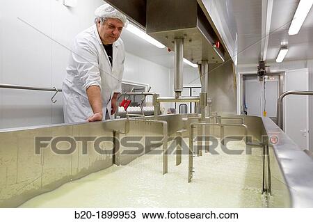 Making cheese from sheep's milk Latxa Designation of origin? Idiazabal? Cheese factory Gomiztegi Baserria, Arantzazu, Oati, Gipuzkoa, Basque Country, Spain View Large Photo Image Stock Image - Making cheese from sheep's milk Latxa Designation of origin? Idiazabal? Cheese factory Gomiztegi Baserria, Arantzazu, Oati, Gipuzkoa, Basque Country, Spain. Fotosearch