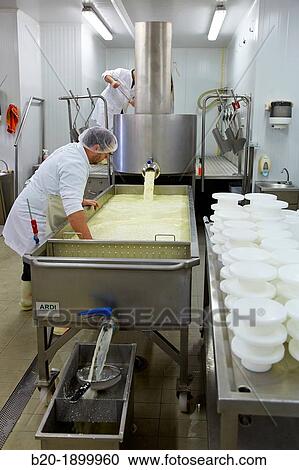 Stock Image - Making cheese from sheep's milk Latxa Designation of origin? Idiazabal? Cheese factory Gomiztegi Baserria, Arantzazu, Oati, Gipuzkoa, Basque Country, Spain. Fotosearch