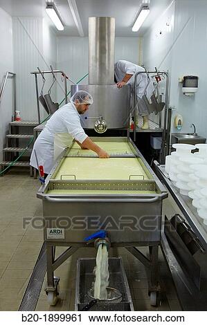Making cheese from sheep's milk Latxa Designation of origin? Idiazabal? Cheese factory Gomiztegi Baserria, Arantzazu, Oati, Gipuzkoa, Basque Country, Spain View Large Photo Image Stock Image - Making cheese from sheep's milk Latxa Designation of origin? Idiazabal? Cheese factory Gomiztegi Baserria, Arantzazu, Oati, Gipuzkoa, Basque Country, Spain. Fotosearch