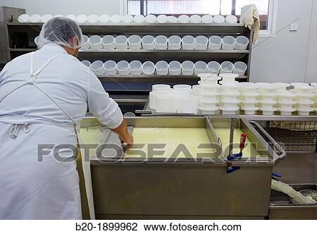 Making cheese from sheep's milk Latxa Designation of origin? Idiazabal? Cheese factory Gomiztegi Baserria, Arantzazu, Oati, Gipuzkoa, Basque Country, Spain View Large Photo Image Stock Image - Making cheese from sheep's milk Latxa Designation of origin? Idiazabal? Cheese factory Gomiztegi Baserria, Arantzazu, Oati, Gipuzkoa, Basque Country, Spain. Fotosearch