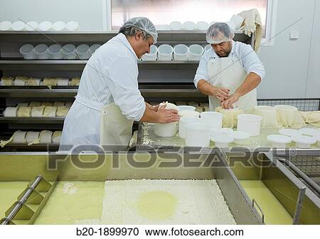 Stock Image - Making cheese from sheep's milk Latxa Designation of origin? Idiazabal? Cheese factory Gomiztegi Baserria, Arantzazu, Oati, Gipuzkoa, Basque Country, Spain. Fotosearch