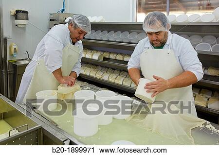 Making cheese from sheep's milk Latxa Designation of origin? Idiazabal? Cheese factory Gomiztegi Baserria, Arantzazu, Oati, Gipuzkoa, Basque Country, Spain View Large Photo Image Stock Image - Making cheese from sheep's milk Latxa Designation of origin? Idiazabal? Cheese factory Gomiztegi Baserria, Arantzazu, Oati, Gipuzkoa, Basque Country, Spain. Fotosearch