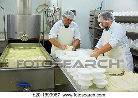 Making cheese from sheep's milk Latxa Designation of origin? Idiazabal? Cheese factory Gomiztegi Baserria, Arantzazu, Oati, Gipuzkoa, Basque Country, Spain View Large Photo Image Stock Photo - Making cheese from sheep's milk Latxa Designation of origin? Idiazabal? Cheese factory Gomiztegi Baserria, Arantzazu, Oati, Gipuzkoa, Basque Country, Spain. Fotosearch