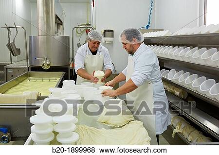 Making cheese from sheep's milk Latxa Designation of origin? Idiazabal? Cheese factory Gomiztegi Baserria, Arantzazu, Oati, Gipuzkoa, Basque Country, Spain View Large Photo Image Stock Photo - Making cheese from sheep's milk Latxa Designation of origin? Idiazabal? Cheese factory Gomiztegi Baserria, Arantzazu, Oati, Gipuzkoa, Basque Country, Spain. Fotosearch