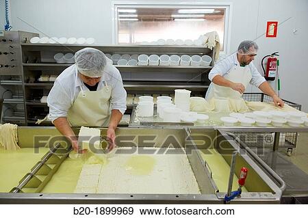 Making cheese from sheep's milk Latxa Designation of origin? Idiazabal? Cheese factory Gomiztegi Baserria, Arantzazu, Oati, Gipuzkoa, Basque Country, Spain View Large Photo Image Stock Photo - Making cheese from sheep's milk Latxa Designation of origin? Idiazabal? Cheese factory Gomiztegi Baserria, Arantzazu, Oati, Gipuzkoa, Basque Country, Spain. Fotosearch