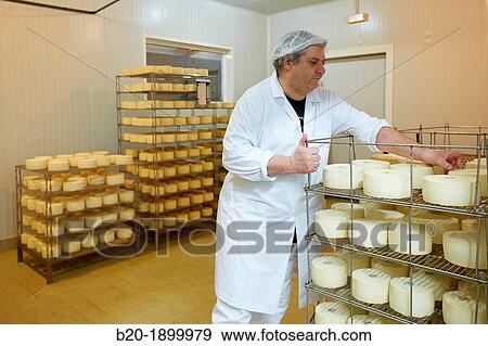 Making cheese from sheep's milk Latxa Designation of origin? Idiazabal? Cheese factory Gomiztegi Baserria, Arantzazu, Oati, Gipuzkoa, Basque Country, Spain View Large Photo Image Stock Photo - Making cheese from sheep's milk Latxa Designation of origin? Idiazabal? Cheese factory Gomiztegi Baserria, Arantzazu, Oati, Gipuzkoa, Basque Country, Spain. Fotosearch