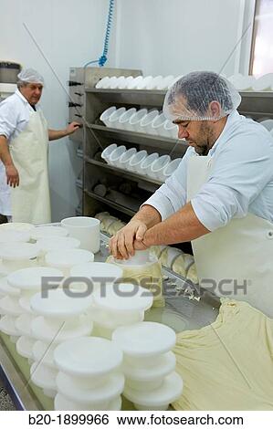 Stock Photograph - Making cheese from sheep's milk Latxa Designation of origin? Idiazabal? Cheese factory Gomiztegi Baserria, Arantzazu, Oati, Gipuzkoa, Basque Country, Spain. Fotosearch