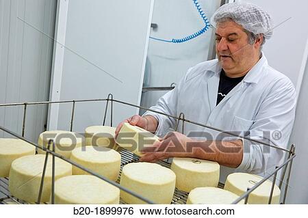 Stock Photograph - Making cheese from sheep's milk Latxa Designation of origin? Idiazabal? Cheese factory Gomiztegi Baserria, Arantzazu, Oati, Gipuzkoa, Basque Country, Spain. Fotosearch