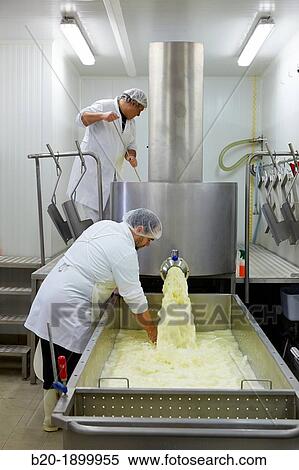 Stock Photography - Making cheese from sheep's milk Latxa Designation of origin? Idiazabal? Cheese factory Gomiztegi Baserria, Arantzazu, Oati, Gipuzkoa, Basque Country, Spain. Fotosearch