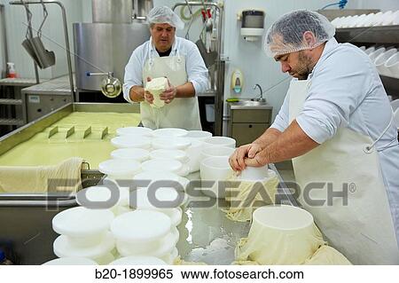 Making cheese from sheep's milk Latxa Designation of origin? Idiazabal? Cheese factory Gomiztegi Baserria, Arantzazu, Oati, Gipuzkoa, Basque Country, Spain View Large Photo Image Stock Photography - Making cheese from sheep's milk Latxa Designation of origin? Idiazabal? Cheese factory Gomiztegi Baserria, Arantzazu, Oati, Gipuzkoa, Basque Country, Spain. Fotosearch
