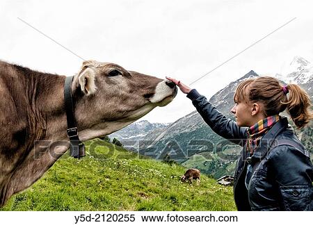making friends, Saas Fee. canton Valais, Switzerland. View Large Photo Image Stock Photography - making friends, Saas Fee. canton Valais, Switzerland.. Fotosearch