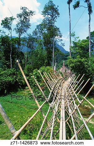 Stock Image - Malaysia, Borneo, Sarawak, Santubong, Bidayuh footbridge,. Fotosearch