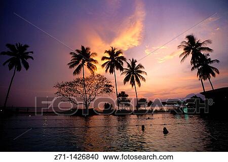 Stock Image - Malaysia, Langkawi Island, sunset, palms,. Fotosearch