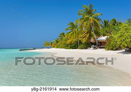 Maldives, Ari Atol, Indian Ocean. View Large Photo Image Picture - Maldives, Ari Atol, Indian Ocean.. Fotosearch