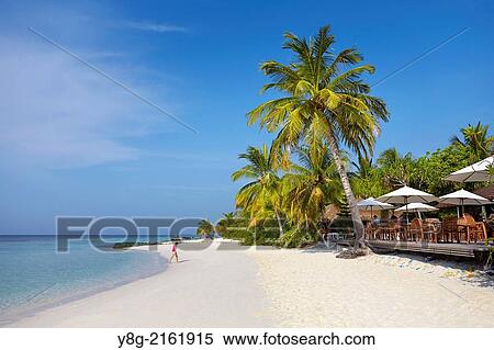 Maldives, Ari Atol, Indian Ocean. View Large Photo Image Stock Photography - Maldives, Ari Atol, Indian Ocean.. Fotosearch