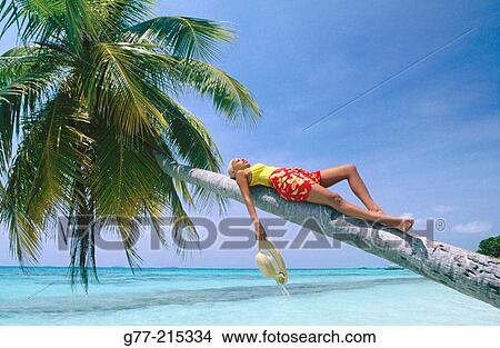 Picture - Maldives, Ari Atoll. Fotosearch