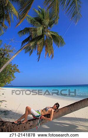 Maldives, Fihalhohi Island, resort, beach, palms,. View Large Photo Image Stock Photo - Maldives, Fihalhohi Island, resort, beach, palms,.. Fotosearch