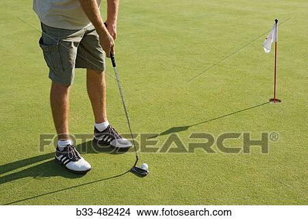 Male golfer putting on golf green View Large Photo Image Picture - Male golfer putting on golf green. Fotosearch