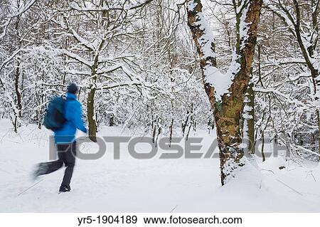 Stock Photo - Male hiker running through snow covered woodland on The Cleveland Way National Trail near Kildale village, North York Moors National Park, England, United Kingdom. Fotosearch