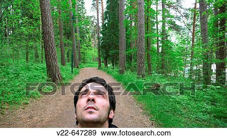 Male looking up in a Swedish forest View Large Photo Image Stock Photo - Male looking up in a Swedish forest. Fotosearch