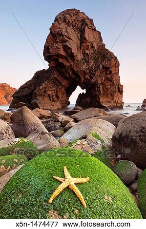Stock Photo - Malhada do Ourical, Sintra, Portugal, Europe. Fotosearch