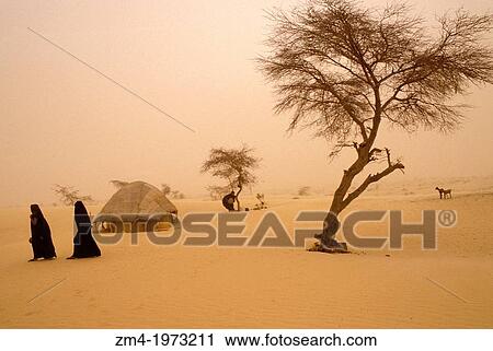 MALI, NEAR TIMBUKTU, TUAREG CAMP IN HARMATTAN DUST STORM, EDGE OF SAHARA. View Large Photo Image Stock Image - MALI, NEAR TIMBUKTU, TUAREG CAMP IN HARMATTAN DUST STORM, EDGE OF SAHARA.. Fotosearch