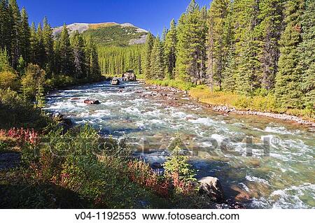 Maligne River and the Canadian Rocky Mountains in the Jasper National Park, Alberta, Canada View Large Photo Image Stock Image - Maligne River and the Canadian Rocky Mountains in the Jasper National Park, Alberta, Canada. Fotosearch