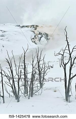 Stock Photo - Mammoth Hot Springs, Winter, Yellowstone NP, WY. Fotosearch