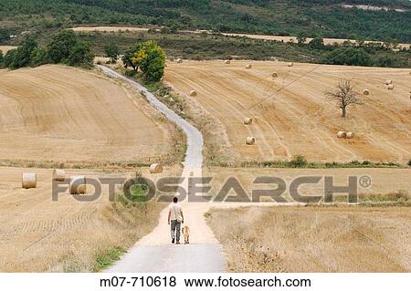 Man and dog View Large Photo Image Stock Photo - Man and dog. Fotosearch