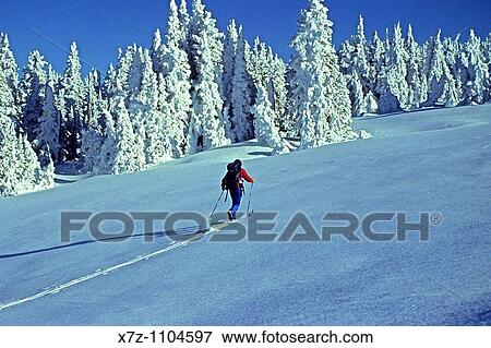 Man, backcountry sking on Mount Harrison high in the Albion Mountains, Idaho View Large Photo Image Stock Photo - Man, backcountry sking on Mount Harrison high in the Albion Mountains, Idaho. Fotosearch