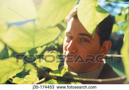 Man behind leaves View Large Photo Image Stock Image - Man behind leaves. Fotosearch