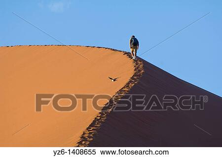 Stock Photography - Man climbing a sanddune Sossusvlei, Namibia. Fotosearch