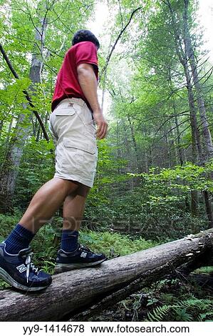 Stock Photo - Man crossing log on Coontree Trail - Pisgah National Forest, near Brevard, North Carolina. Fotosearch