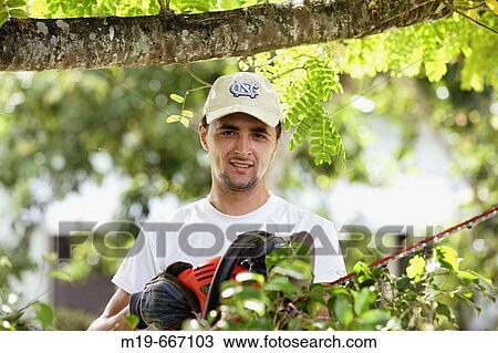 Stock Image - Man cutting a hedge with a trimmer. Fotosearch