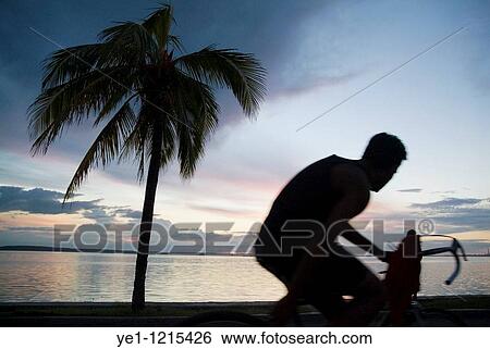 Stock Photograph - Man cycling along the waterfront at sunset, Cienfuegos, Cuba.. Fotosearch