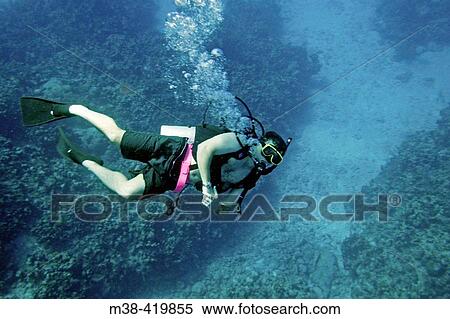Man diving in Grand Cayman Island. Cayman Islands. Caribbean. UK View Large Photo Image Stock Photography - Man diving in Grand Cayman Island. Cayman Islands. Caribbean. UK. Fotosearch