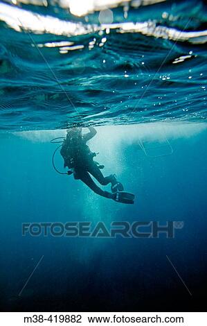 Man diving in Key Largo, Florida. December 2004. View Large Photo Image Stock Image - Man diving in Key Largo, Florida. December 2004.. Fotosearch