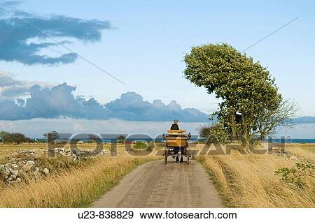 Stock Photo - Man driving a horsecart on a country road.. Fotosearch