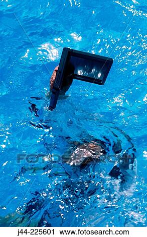 Man drowning in pool saving laptop computer View Large Photo Image Stock Image - Man drowning in pool saving laptop computer. Fotosearch